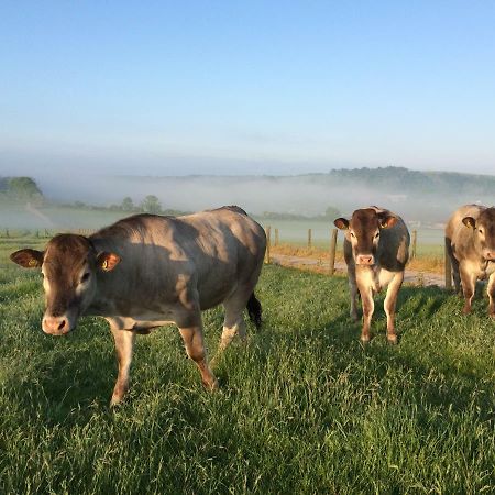 워딩 South Downs Rural Retreats 빌라 외부 사진