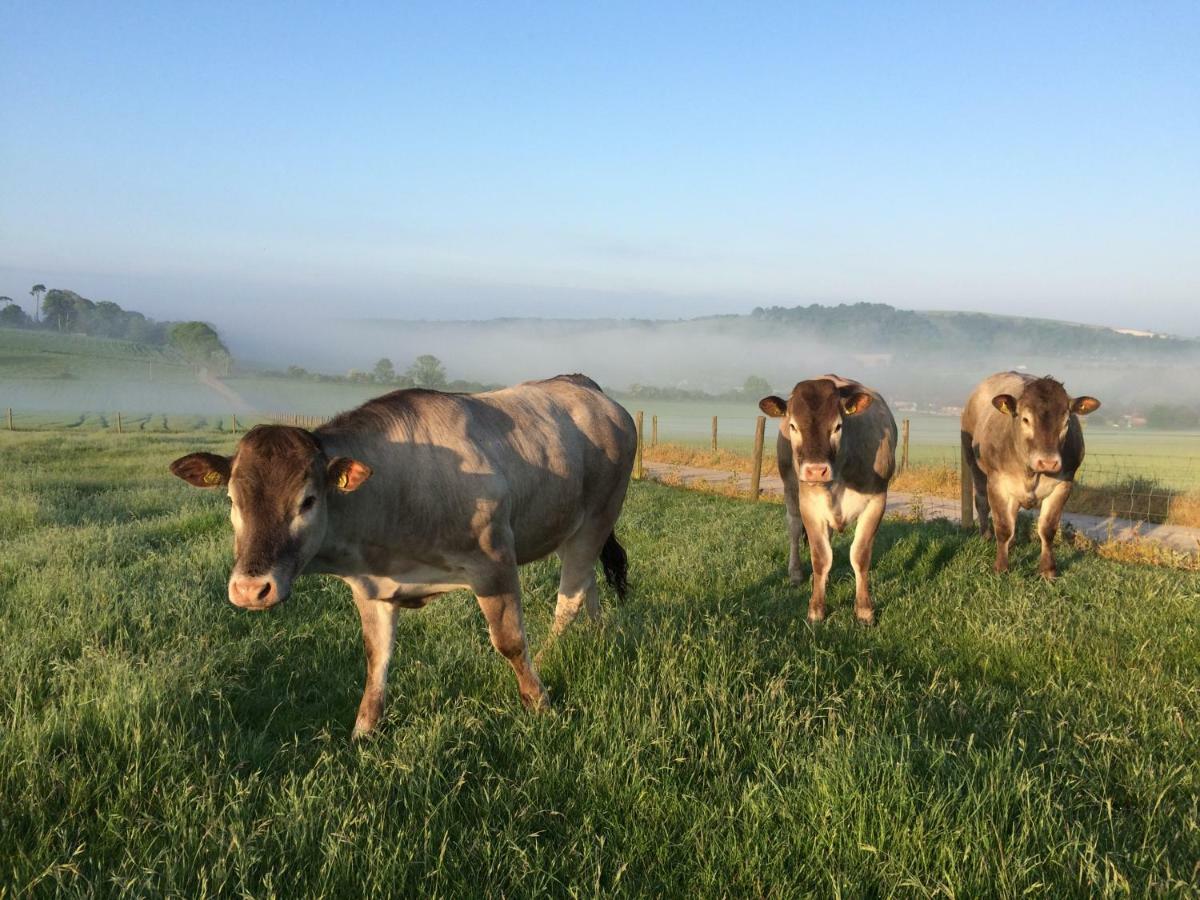 워딩 South Downs Rural Retreats 빌라 외부 사진